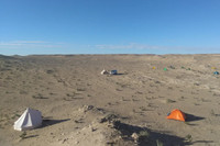 Phát hiện loài khủng long hoàn toàn mới có móng vuốt sắc nhọn