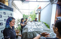 Cứu hộ thành công cá thể gấu tại Hà Nội