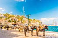 Hòn đảo tựa thiên đường cấm ô tô, chỉ được đi lại bằng thú 4 chân