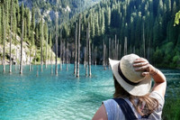 Rừng cây mọc ngược, đẹp như tranh vẽ trong truyện cổ tích