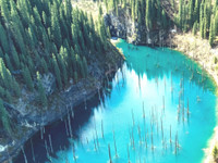 Rừng cây mọc ngược, đẹp như tranh vẽ trong truyện cổ tích