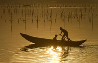 Bức tranh thiên nhiên tuyệt đẹp nơi cửa biển 