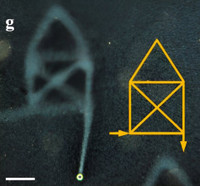 Trung Quốc hợp tác, làm ra bút viết được trong nước