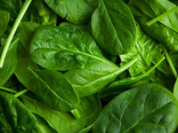 ''Vua các loại rau xanh'' giảm nguy cơ ung thư được trồng nhiều ở Việt Nam