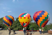 Đến Ba Vì ngắm hoa dã quỳ trên khinh khí cầu