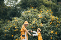 Đến Ba Vì ngắm hoa dã quỳ trên khinh khí cầu