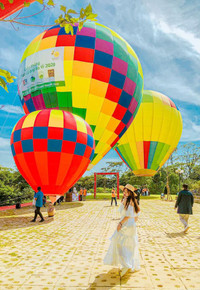 Đến Ba Vì ngắm hoa dã quỳ trên khinh khí cầu