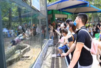 Du lịch Hà Nội tăng trưởng mạnh mẽ dịp nghỉ lễ