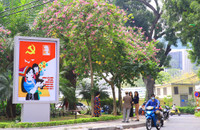 Mùa hoa ban khoe sắc 