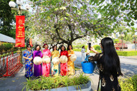 Mùa hoa ban khoe sắc 