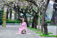 Mùa hoa ban khoe sắc 