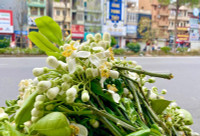 Hương bưởi tháng 3 