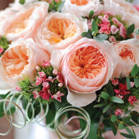 9 loại hoa đẹp, độc, đắt nhất thế giới