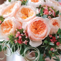 9 loại hoa đẹp, độc, đắt nhất thế giới