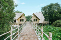 Check-in cây cầu tre dài 10km tại Việt Nam