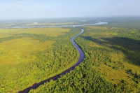 Điểm tên những dòng sông nguy hiểm nhất thế giới