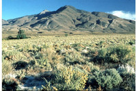 Những hoang mạc và sa mạc lớn nhất thế giới