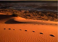 Những hoang mạc và sa mạc lớn nhất thế giới