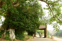 Khung cảnh làng quê đẹp thơ mộng ở Đường Lâm