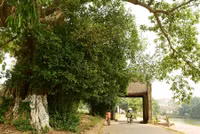 Khung cảnh làng quê đẹp thơ mộng ở Đường Lâm