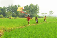 Khung cảnh làng quê đẹp thơ mộng ở Đường Lâm