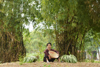 Khung cảnh làng quê đẹp thơ mộng ở Đường Lâm