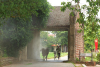 Khung cảnh làng quê đẹp thơ mộng ở Đường Lâm