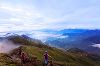 Ngắm hoa Chi Pâu ở thiên đường mây Tà Chì Nhù 