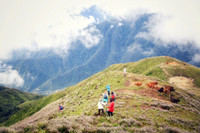 Ngắm hoa Chi Pâu ở thiên đường mây Tà Chì Nhù 