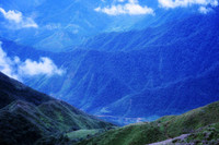 Ngắm hoa Chi Pâu ở thiên đường mây Tà Chì Nhù 