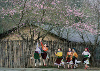 Những khoảnh khắc đoạt giải Vàng Ảnh nghệ thuật Quốc tế tại Việt Nam