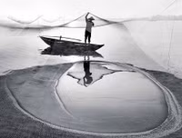 Những khoảnh khắc đoạt giải Vàng Ảnh nghệ thuật Quốc tế tại Việt Nam