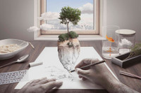 Những khoảnh khắc đoạt giải Vàng Ảnh nghệ thuật Quốc tế tại Việt Nam