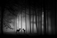 Những khoảnh khắc đoạt giải Vàng Ảnh nghệ thuật Quốc tế tại Việt Nam