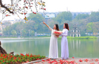 Hà Nội mùa hoa gạo 