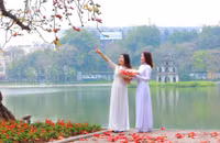 Hà Nội mùa hoa gạo 