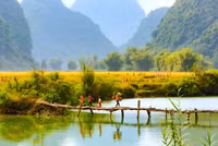 Mùa vàng Phong Nậm 