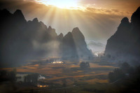 Mùa vàng Phong Nậm 