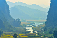 Mùa vàng Phong Nậm 