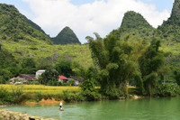 Mùa vàng Phong Nậm 