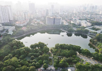 Những “lá phổi