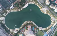 Những “lá phổi