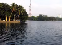 Những “lá phổi