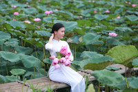 Thanh tao mùa sen đầu hạ