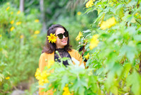 Đến Tản Viên sơn ngắm hoa báo đông