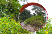 Đến Tản Viên sơn ngắm hoa báo đông