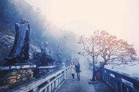 Mùa xuân lên đỉnh Fansipan 