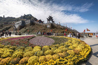 Mùa xuân lên đỉnh Fansipan 