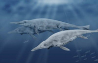 Điểm tên những loài 