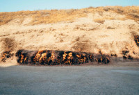 Những ngọn lửa vĩnh cửu bí ẩn nhất thế giới